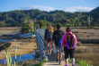 Nouvelle-Zélande - Ile du Sud - Abel Tasman National Park © Stray Travel NZ