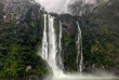 Nouvelle-Zélande - Ile du Sud - Milford Sound © Stray Travel NZ, Marjolein Uitbeijerse