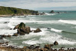 Nouvelle-Zélande - Ile du Sud - West Coast © Shutterstock - Tourism West Coast