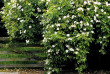 Nouvelle-Zlande - Invercargill - Tudor Park Country Stay