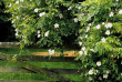 Nouvelle-Zlande - Invercargill - Tudor Park Country Stay
