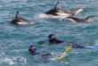 Nouvelle-Zélande - Christchurch - Le meilleur de Kaikoura en 2 jours