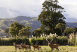 Nouvelle-Zélande - Kaikoura - Hapuku Lodge & Tree House - La ferme