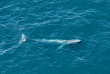 Nouvelle-Zélande - Kaikoura © South Pacific Helicopters