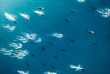 Nouvelle-Zélande - Kaikoura © South Pacific Helicopters