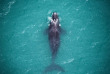 Nouvelle-Zélande - Kaikoura © South Pacific Helicopters