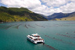 Nouvelle-Zélande - Marlborough Sounds - Croisière dans les Pelorus et Kenepuru Sounds