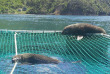 Nouvelle-Zélande - Marlborough Sounds - Le meilleur de Marlborough à terre et en mer