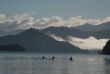 Nouvelle-Zélande - Marlborough Sounds - Kayak à Ship Cove - aller en bateau-taxi, retour par le service de livraison postale © Destination Marlborough