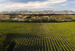 Nouvelle-Zélande - Marlborough - Les vignobles de Marlborough