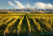 Nouvelle-Zélande - Marlborough - Les vignobles de Marlborough