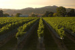 Nouvelle-Zélande - Marlborough - Les vignobles de Marlborough