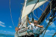 Nouvelle-Zélande - Bay of Islands - Croisière en voilier à bord du R. Tucker Thompson