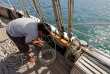 Nouvelle-Zélande - Bay of Islands - Croisière en voilier à bord du R. Tucker Thompson