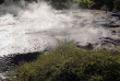 Nouvelle-Zélande - Rotorua - Découverte de la culture Maorie et de la géothermie à Rotorua © Te Puia