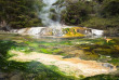 Nouvelle-Zélande - Rotorua, Waimangu