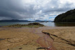 Nouvelle-zélande - Stewart island - Ulva Island © Ruggedy Ranges