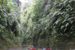 Nouvelle-Zélande - Parc national de Tongariro - Aventure en canoë sur la rivière Whanganui