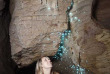 Nouvelle-Zélande - Waitomo - Excursion aux grottes de Waitomo et de Ruakuri