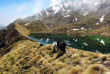 Nouvelle-Zélande - Wanaka - Lacs émeraude et steppe d'altitude, accès en hélicoptère