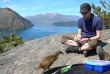 Nouvelle-Zélande - Wanaka - Visite de l'île-sanctuaire de Mou Waho et du lac Wanaka