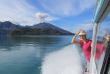 Nouvelle-Zélande - Wanaka - Visite de l'île-sanctuaire de Mou Waho et du lac Wanaka