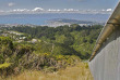 Nouvelle-Zélande - Wellington - Visite nocturne guidée de la réserve de Zealandia © Zeelandia, Steve Attwood