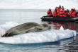 Croisières PONANT - Antarctique - Voyage en terres australes et péninsule Valdés © Studio Ponant
