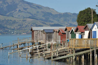 Nouvelle-Zélande - Christchurch - Journée à Akaroa, inclus croisière dans le port