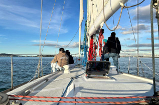 Nouvelle-Zélande - Auckland - Explore Group, Harbour Sailing