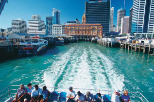 Nouvelle-Zélande - Auckland - Explorez l'île de Tiritiri Matangi © Rob Suisted, New Zealand Tourism