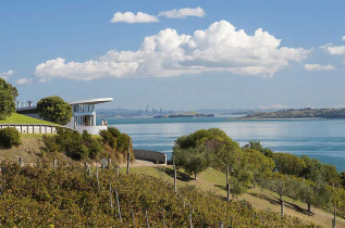 Nouvelle-Zélande - Auckland - Vignobles et oliviers de l'île de Waiheke © Tourism New Zealand, Julian Apse