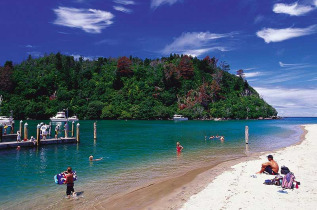 Nouvelle-Zélande - Coromandel - Randonnée guidée sauvage dans la Forêt - Coromandel © Destination Coromandel