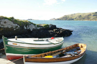 Nouvelle-Zélande - Dunedin, Otago