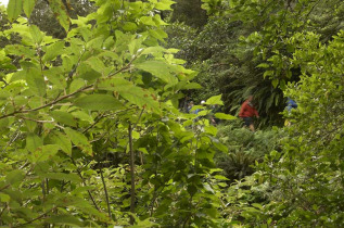 Nouvelle-Zélande - Te Anau - Randonnée guidée sur la Routeburn Track