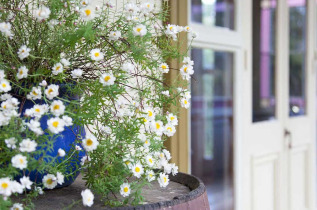 Nouvelle-Zélande - Hawera - Tairoa Lodge