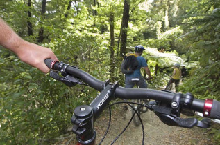 Nouvelle-Zélande - Marlborough Sounds - VTT sur la Queen Charlotte Track