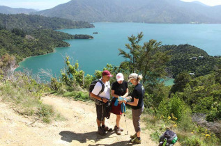 Nouvelle-Zélande - Marlborough Sounds - Randonnée guidée de 14 km sur la Queen Charlotte Track