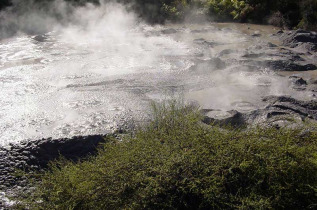 Nouvelle-Zélande - Rotorua - Après-midi autour de la culture Maori et de la géothermie à Te Puia © Te Puia