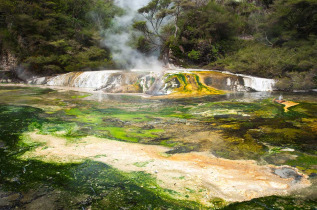 Nouvelle-Zélande - Rotorua, Waimangu