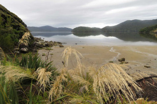 Nouvelle-Zélande - Stewart Island - Rakiua Great Walk © Ruggedy Ranges