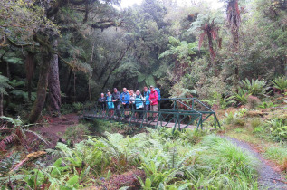 Nouvelle-Zélande - Stewart Island - Rakiua Great Walk © Ruggedy Ranges