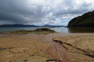 Nouvelle-zélande - Stewart island - Ulva Island © Ruggedy Ranges