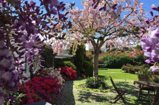 Nouvelle-Zélande - Taupo - Phoenix Resort