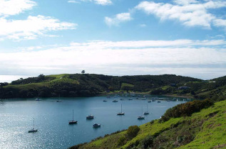 Nouvelle-Zélande - Auckland - Découverte de l'île de Waiheke © Eve Robinson