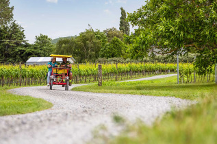 Nouvelle-Zélande - Wairapapa - Martinborough - Tourism New Zealand