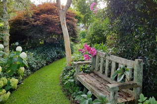 Nouvelle-Zélande - Waimoto - Otorohanga - Kamahi Cottage