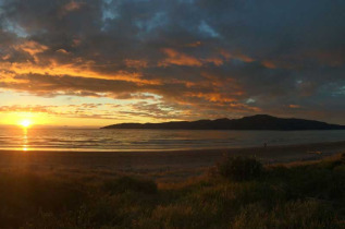 Nouvelle-Zélande - Wellington - Visite de l'île de Kapiti à la journée