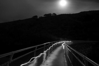 Nouvelle-Zélande - Wellington - Visite nocturne guidée de la réserve de Zealandia © Zeelandia, Jo Moore