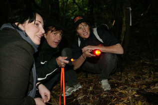 Nouvelle-Zélande - Wellington - Visite nocturne guidée de la réserve de Zealandia © Zeelandia